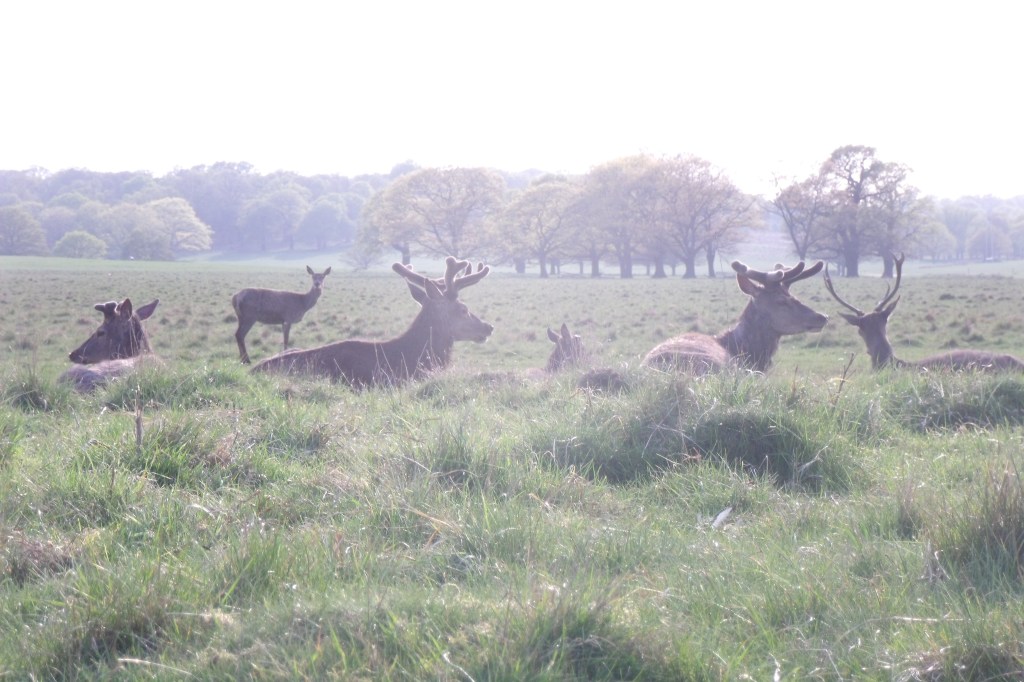 to pose or not to pose