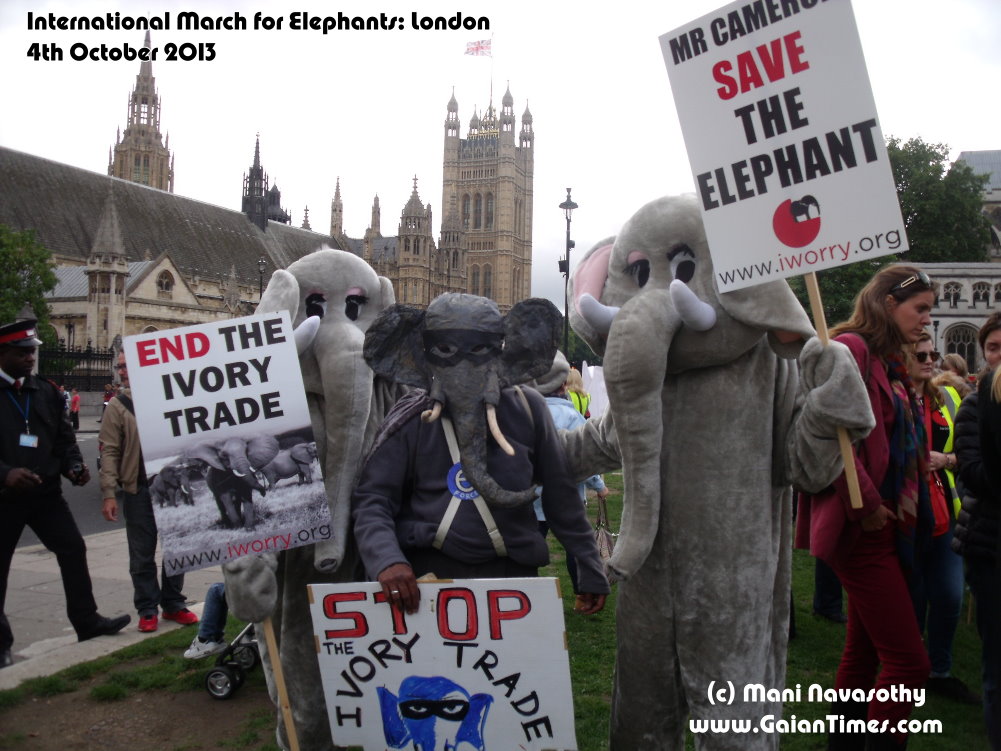 Elephants Unite at the International March for Elephants (London) - with Elephantom in the middle