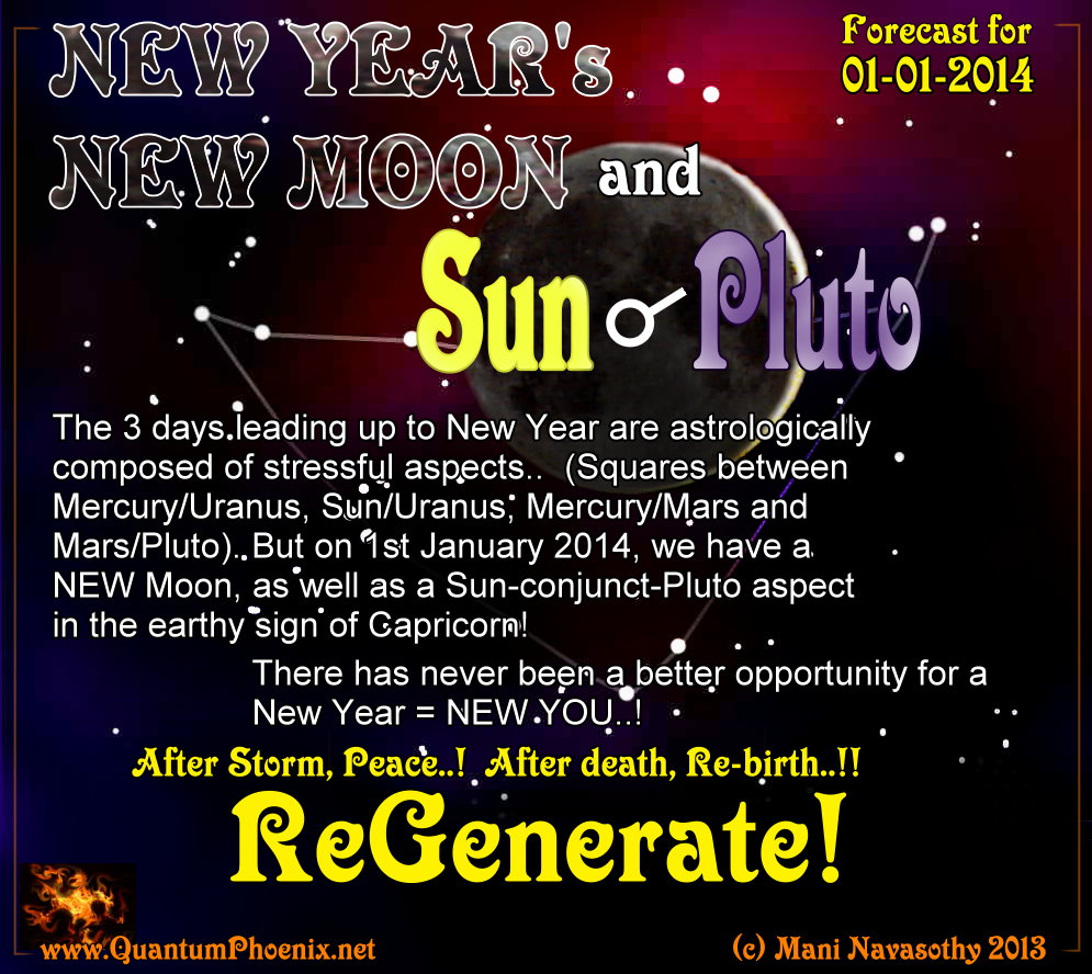 New year 2014 forecast (c) Mani Navasothy 2013