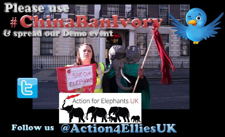 Action for Elephants - Peaceful Demo outside Chinese Embassy, London (photo ~V)