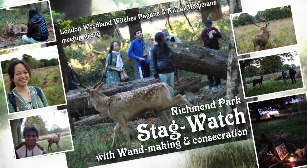 Woodland witches Stagwatch 2018 &amp; wand making