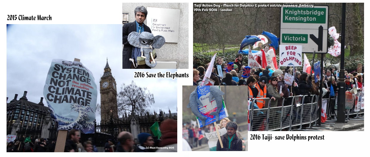 Climate march Taiji Dolphins Save Elephants - Protest marches Mani Navasothy.jpg