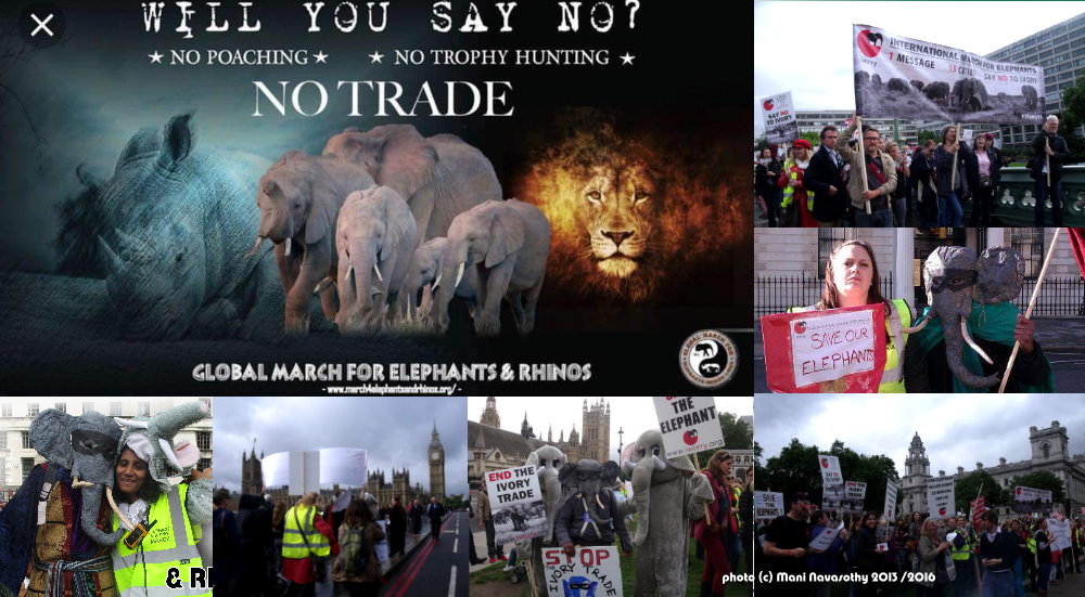 The 5th Global March for Elephants and Rhinos – Saturday 13th April’19&nbsp;(London)