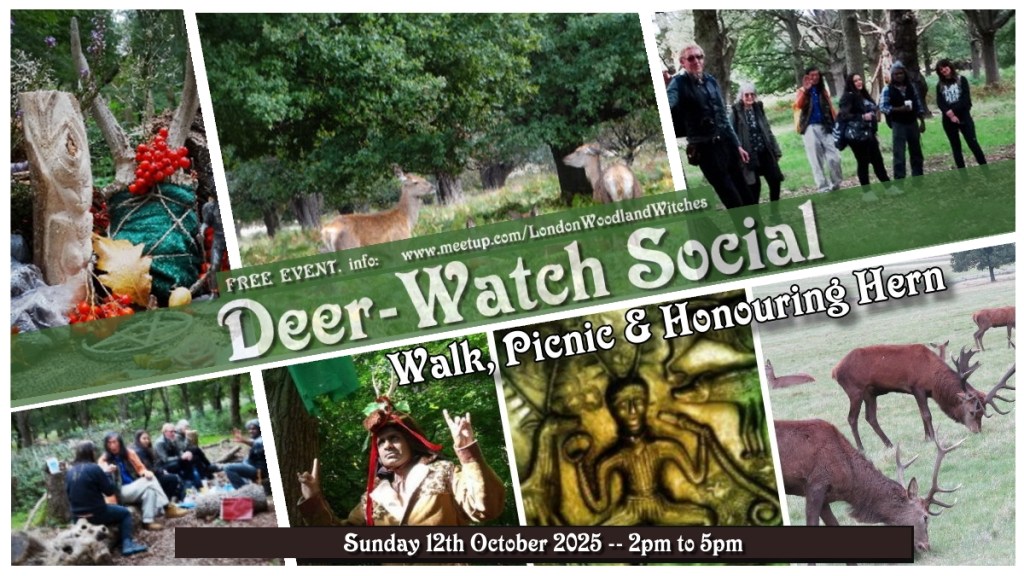 Deer-watch social : Walk, Picnic in local woods (Oct’2025)
